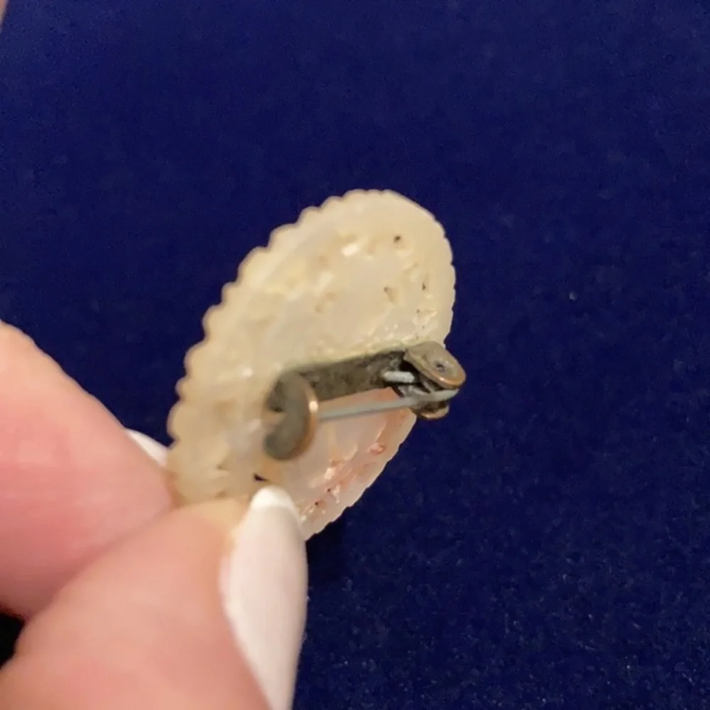Vintage mother of pearl floral pin